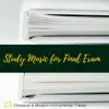 Ludovico Allevia - Study Music for Final Exam - 25 Classical & Modern Instrumental Tracks